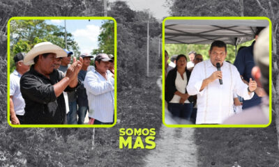 rehabilitación