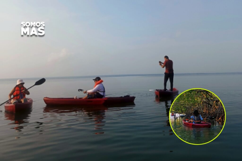Kayak