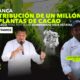 plantas